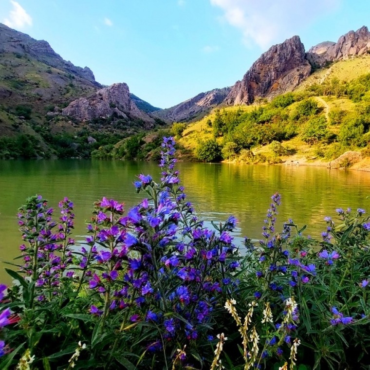 судак