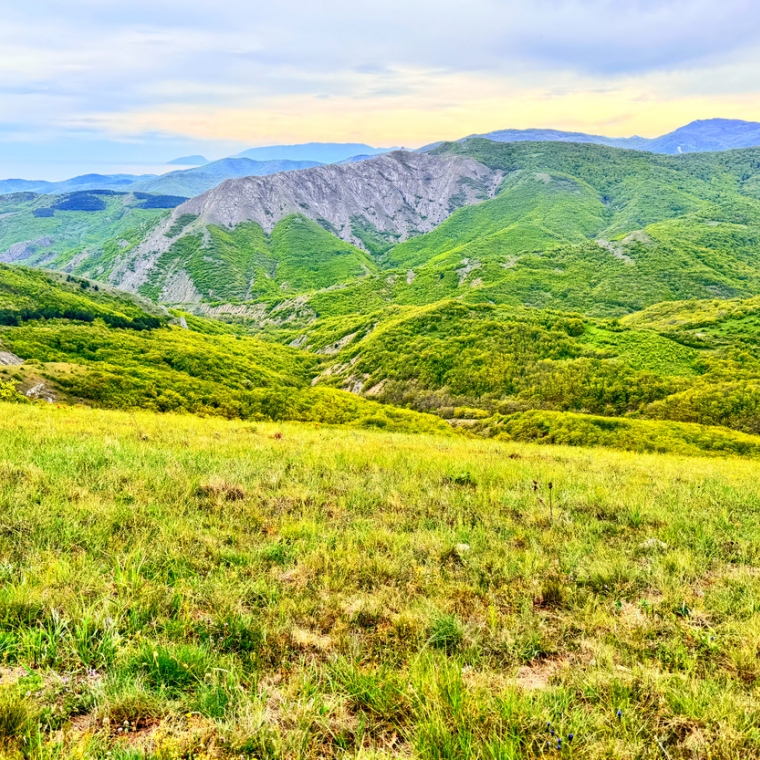 судак