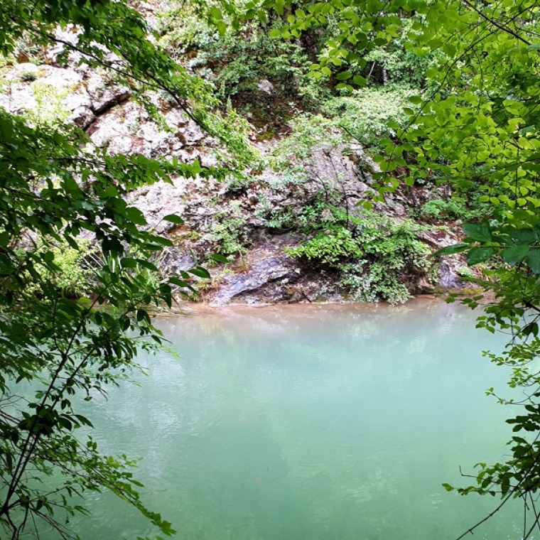Севас