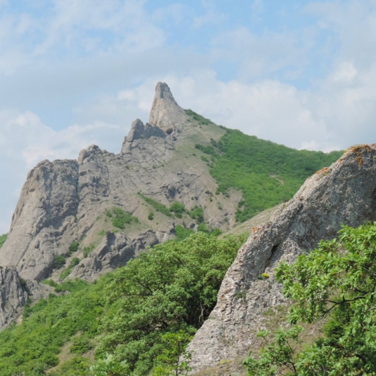 судак