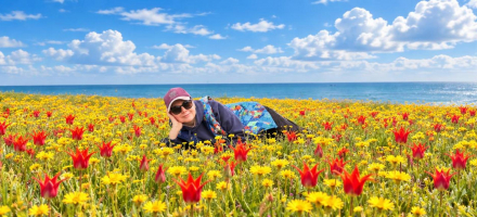 с гор к морю